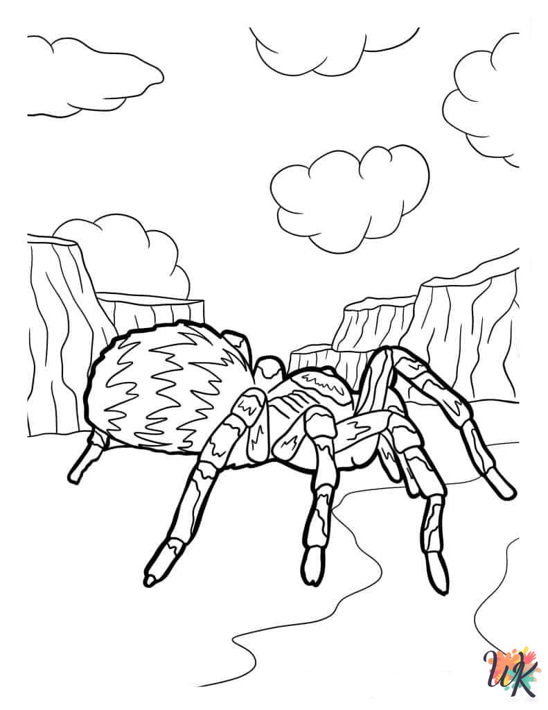 fun Spider coloring pages