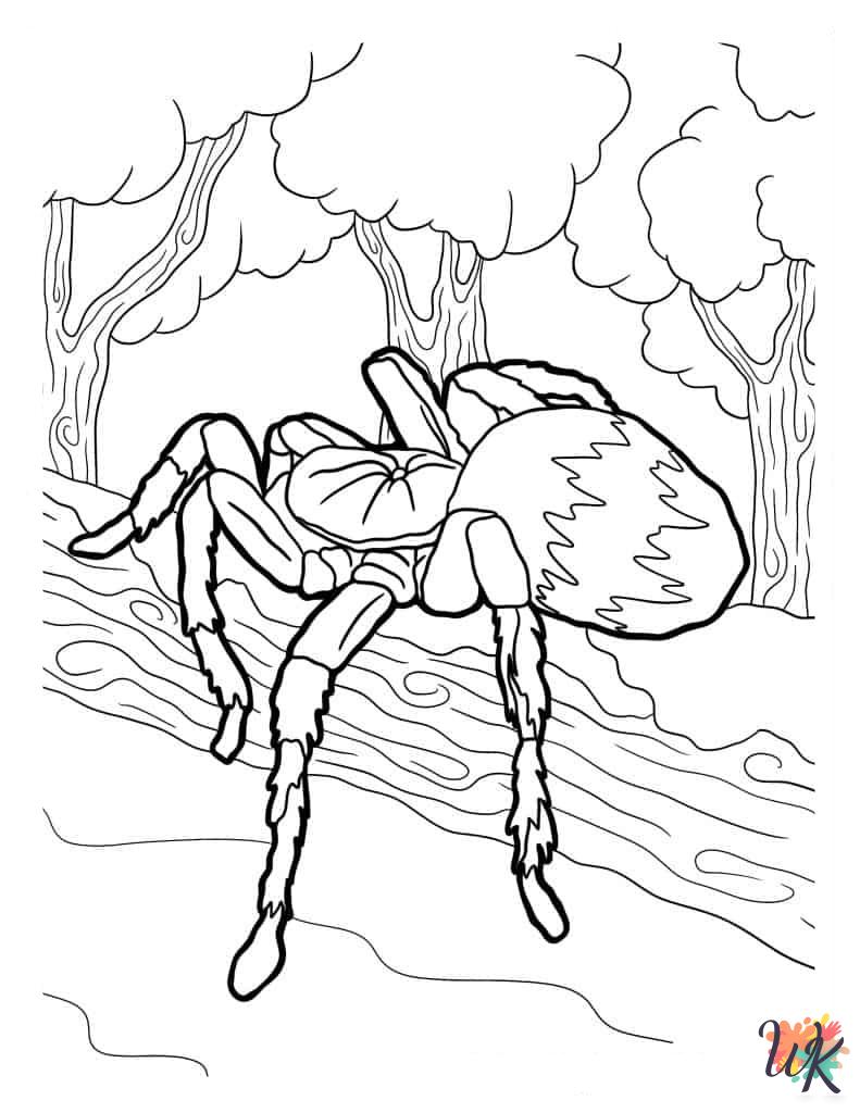 Spider coloring pages free 1
