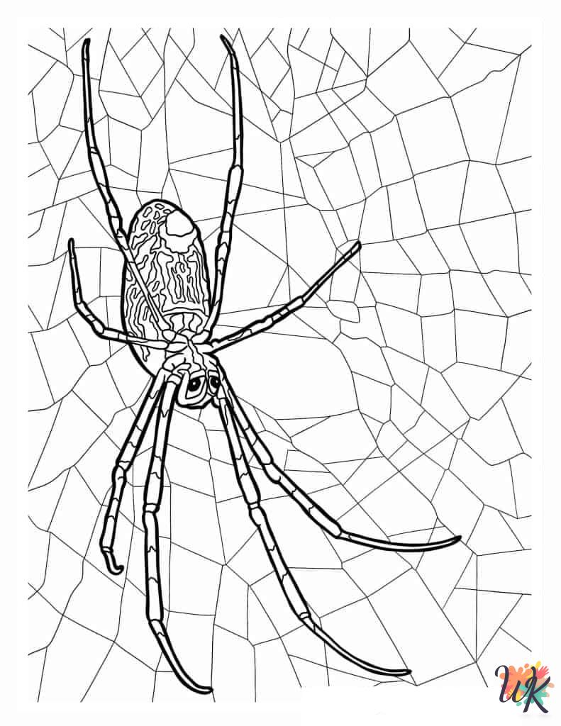 Spider coloring pages for kids 1