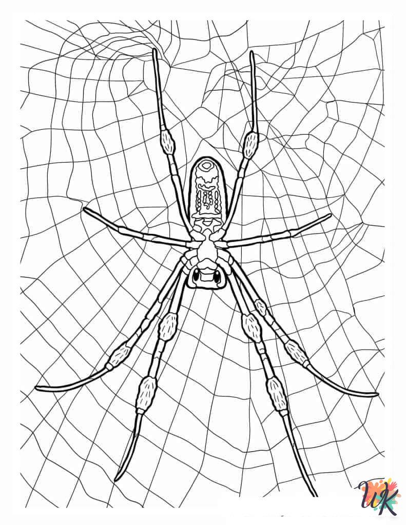 Spider coloring pages for adults easy
