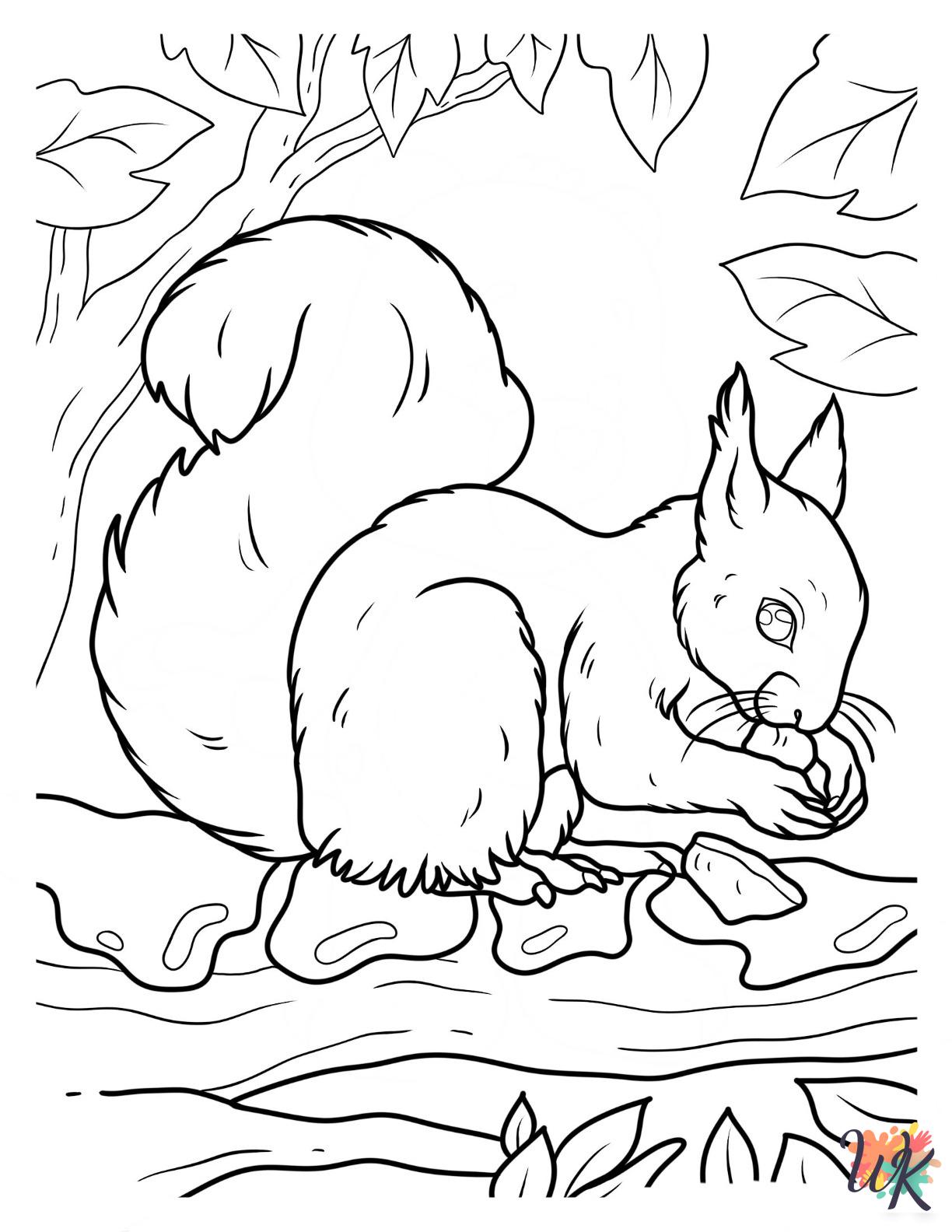 easy Squirrel coloring pages