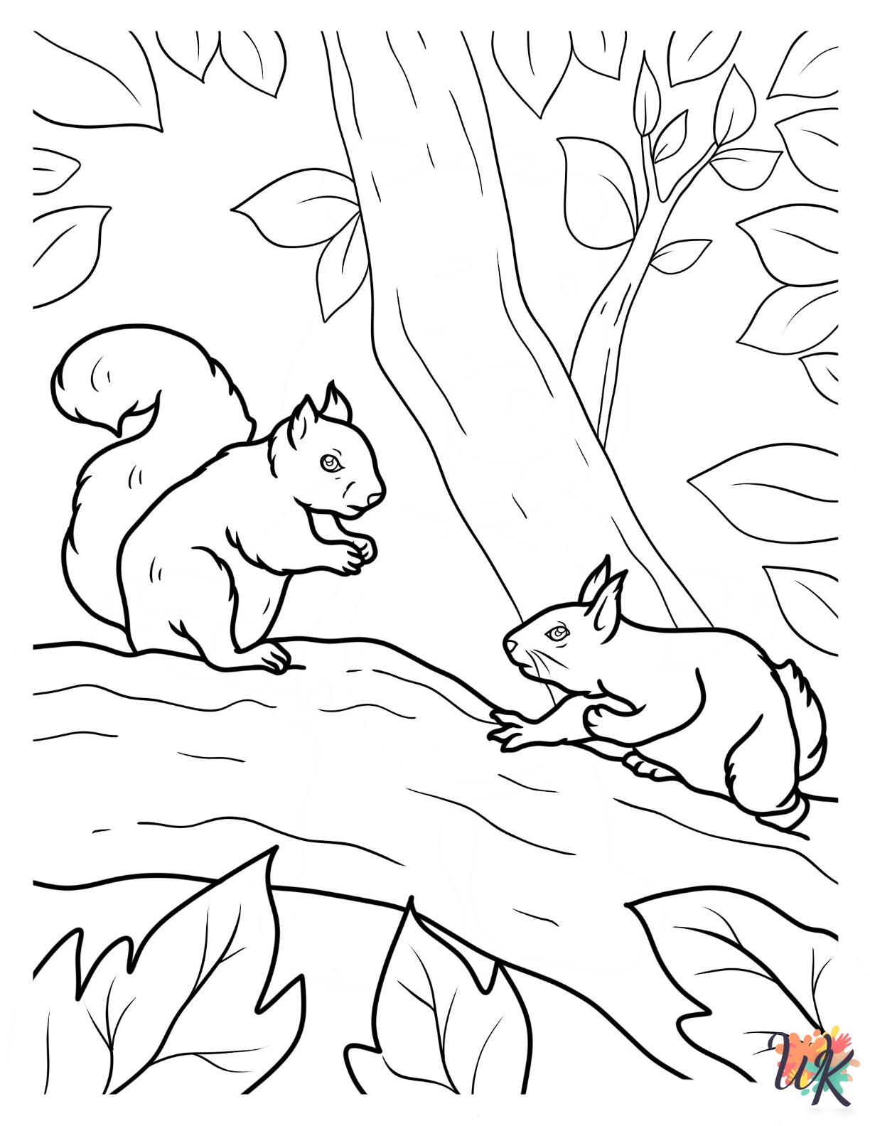 Squirrel adult coloring pages